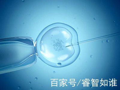 时差培养箱